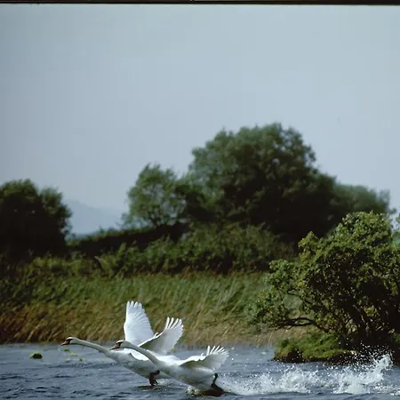 Pensión Enniscoe House 4*