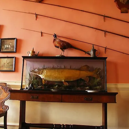 Pensión Enniscoe House