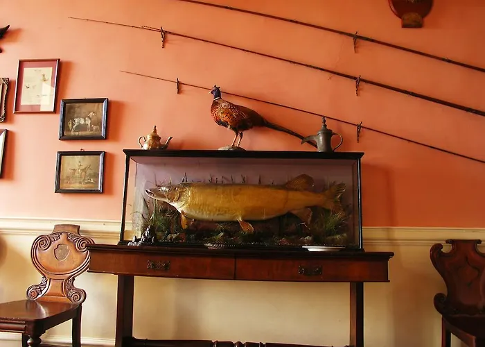 Guest house Enniscoe House